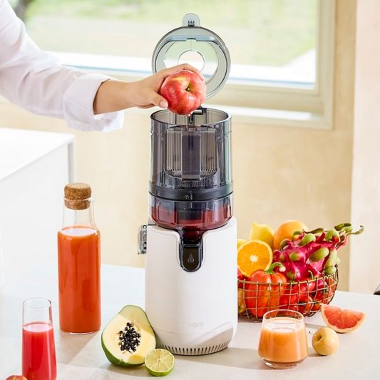 Hurom Slow Juicer E50ST