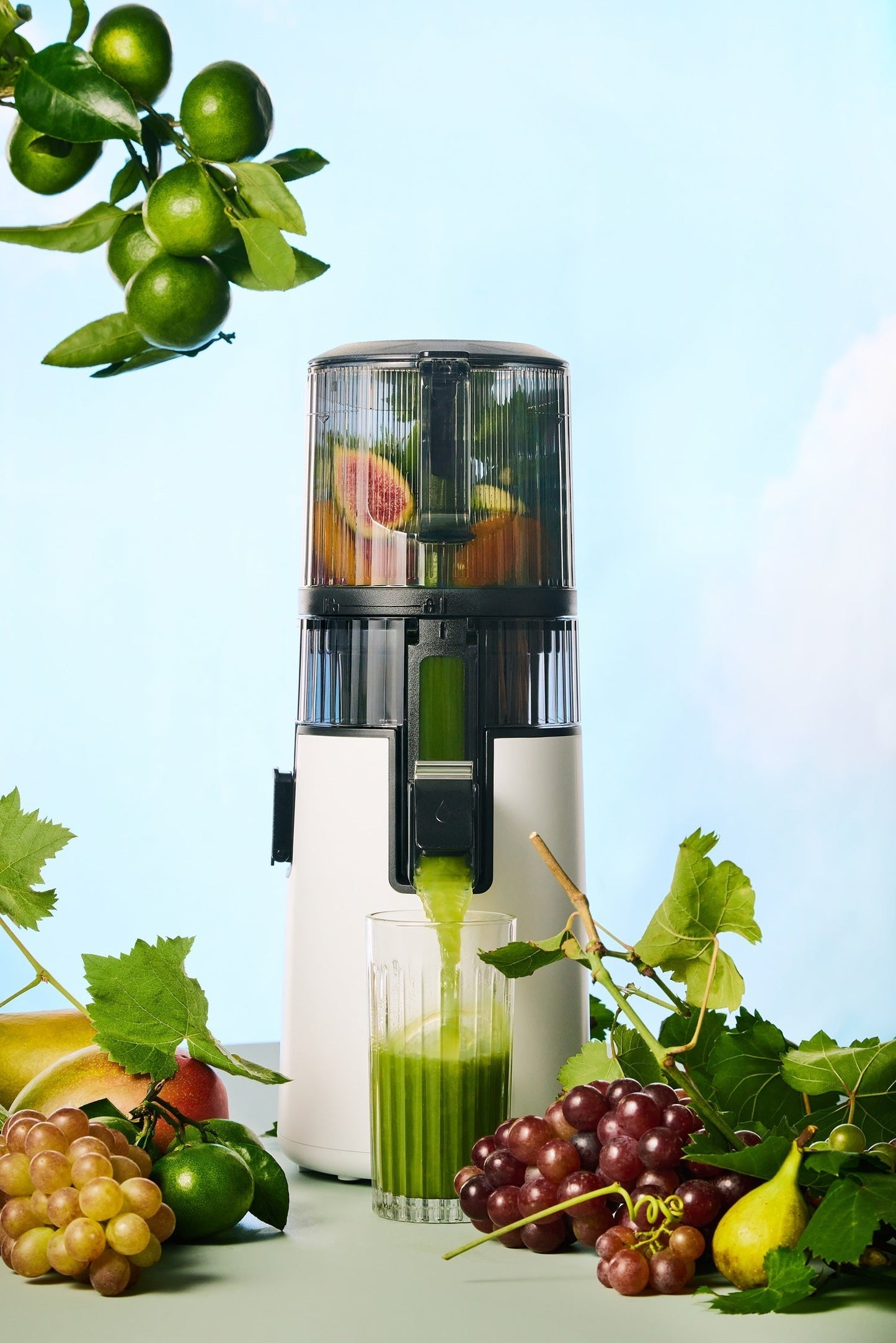 Hurom Slow Juicer H70FT