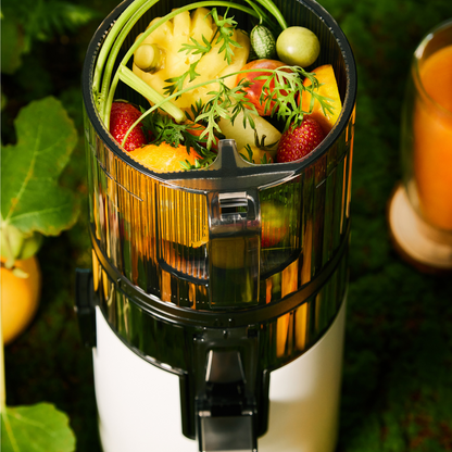 Hurom Slow Juicer H70ST