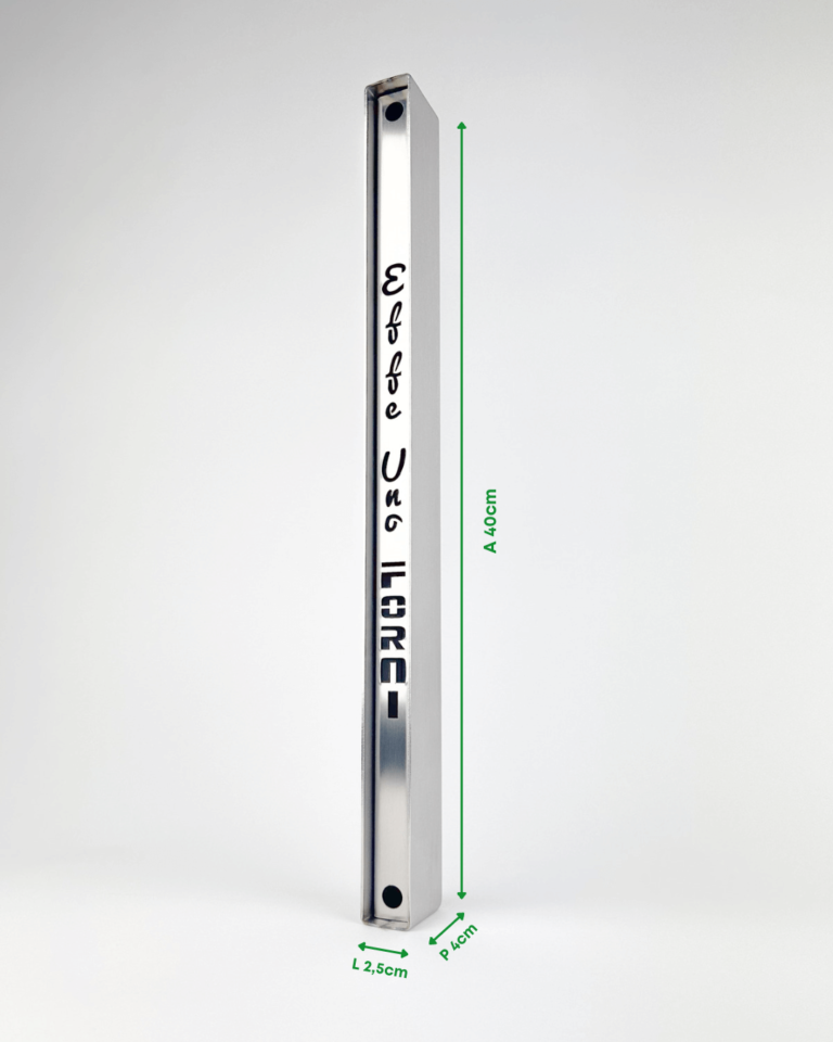 EFFEUNO Pizzaofen-Dampfer