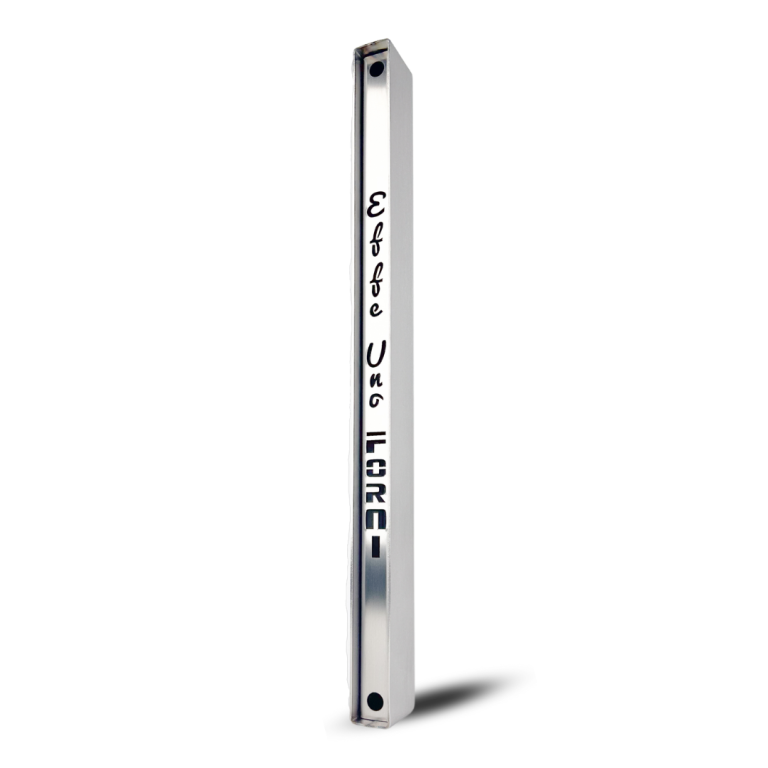 EFFEUNO Pizzaofen-Dampfer